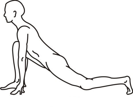 ashwa sanchalasana
